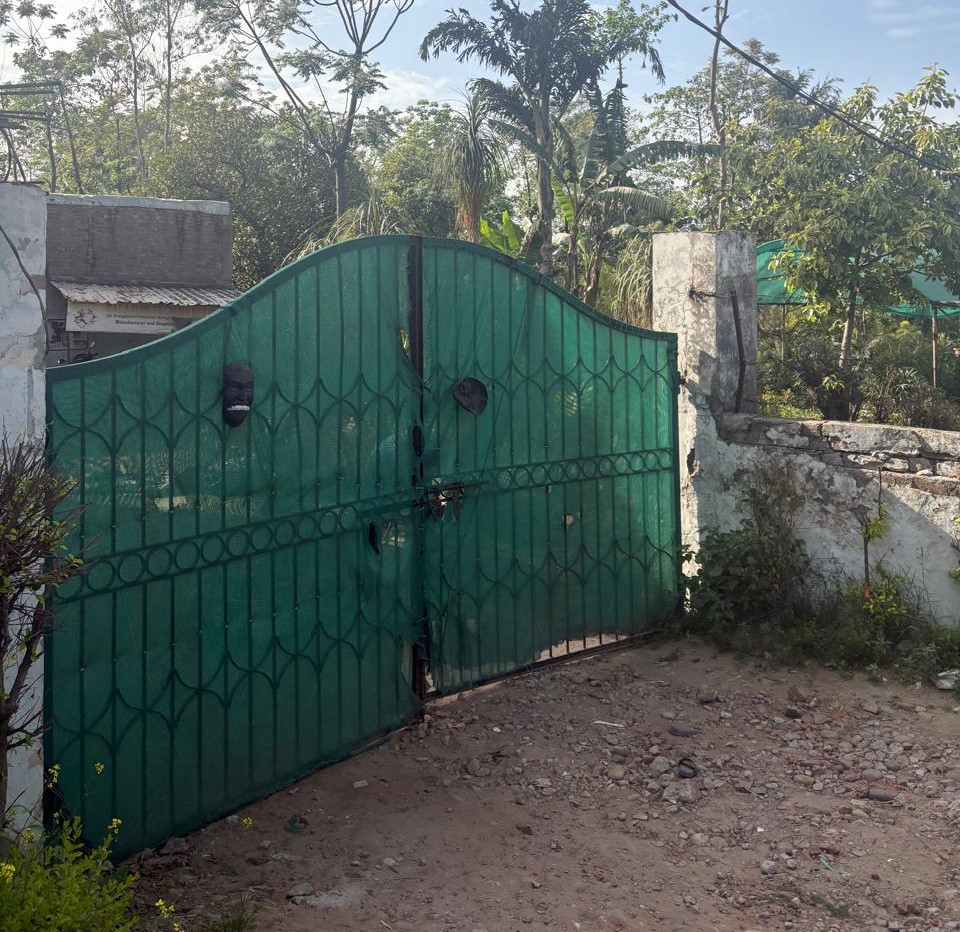 Green metal gate with trees behind